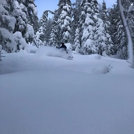 Appartamento Bergheimat