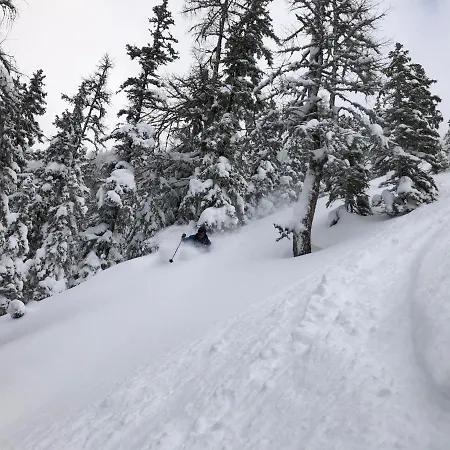 Appartamento Bergheimat *